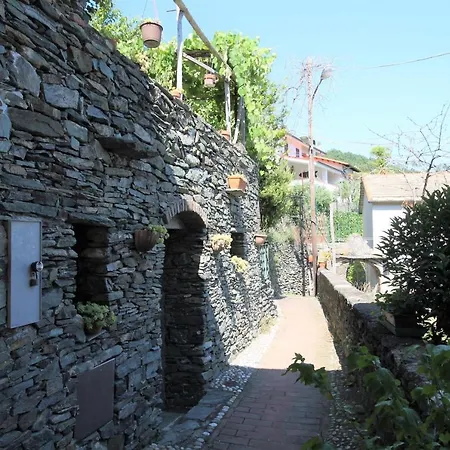 Il RosAle a Celle Ligure-3